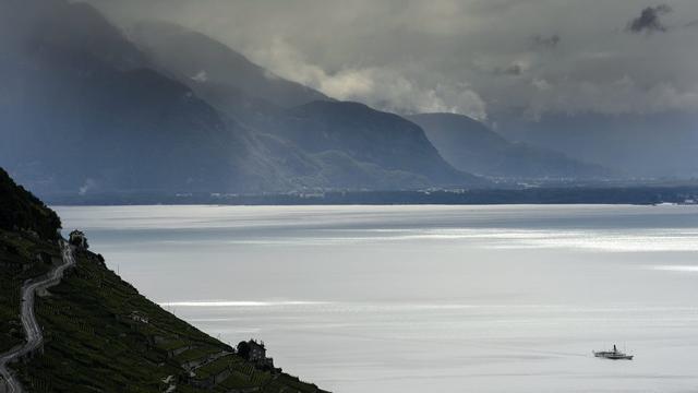 Le lac Léman, devant les vignes de Lavaux. [Laurent Gillieron]