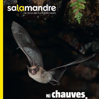 La couverture de La Salamandre des mois d'octobre-novembre 2015. [Salamandre.net]