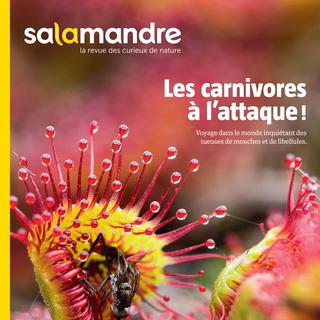 La couverture de La Salamandre des mois de juin-juillet 2015. [salamandre.net]