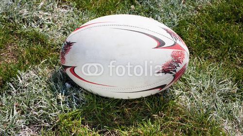 Ballon de rugby. [Fotolia - aragorik]