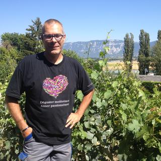Thierry Anet, chef du vignoble du canton de Genève, a testé pendant plusieurs années le Divico. Dès 2016, il en aura planté 2500m2 pour une production de 1500 bouteilles par année. [RTSinfo - Marc Menichini]