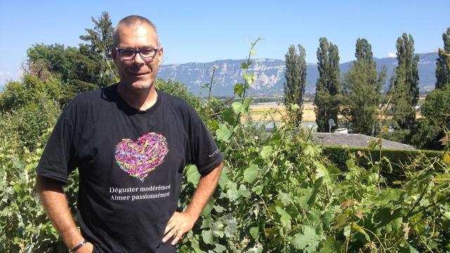 Thierry Anet, chef du vignoble du canton de Genève, a testé pendant plusieurs années le Divico. Dès 2016, il en aura planté 2500m2 pour une production de 1500 bouteilles par année. [RTSinfo - Marc Menichini]