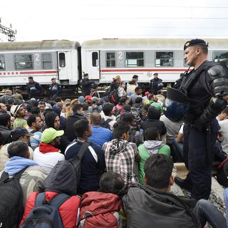 La foule des migrants à l'entrée du centre d'identification d'Opatovac, côté croate de la frontière. [Controluce/AFP - Danilio Balducci]