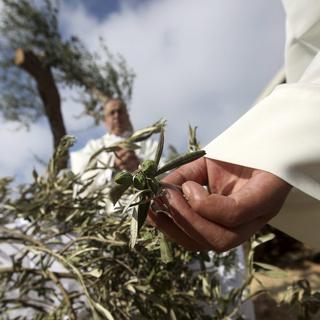 Vendredi 21 août: prêtres chrétiens palestiniens participant à une manifestation contre l'implantation d'une colonie israélienne en Cisjordanie. [EPA/Kestone - Abed al Hashlamoni]