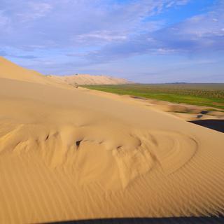 La Grande muraille verte chinoise vise à contenir l'avancée du désert de Gobi. [AFP - Bruno Morandi/Robert Harding]