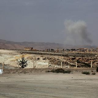 La ville de Palmyre a été reprise par le groupe Etat islamique [EPA/STR]