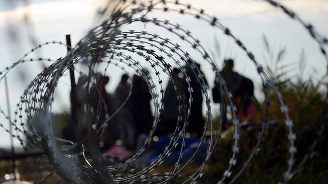 Des migrants à proximité d'un barbelé près du village frontalier hongrois de Roszke. [AFP - ATTILA KISBENEDEK]