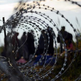Des migrants à proximité d'un barbelé près du village frontalier hongrois de Roszke. [AFP - ATTILA KISBENEDEK]