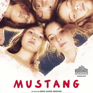 L'affiche du film "Mustang". [advitamdistribution.com]