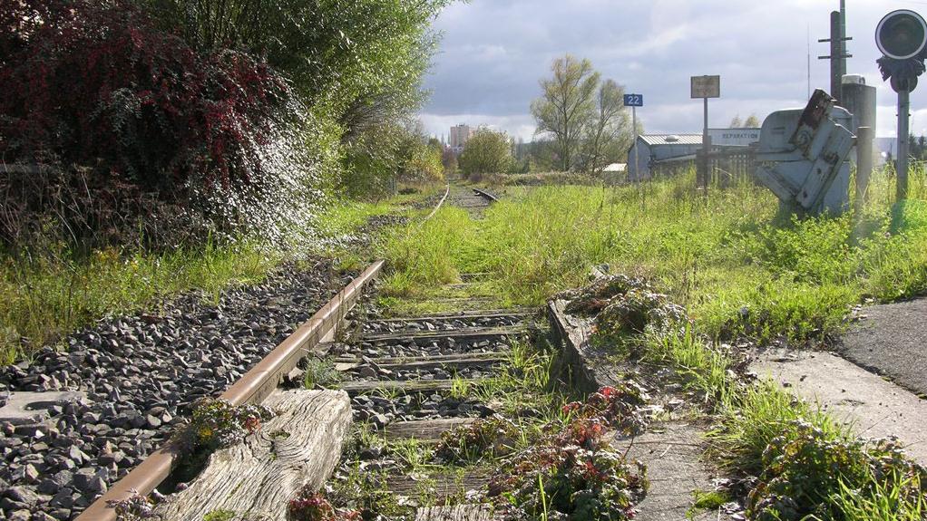 Plus de 120 millions de francs vont être investis dans la ligne Delle-Belfort, abandonnée depuis une vingtaine d'année. [RTS - Gaël Klein]