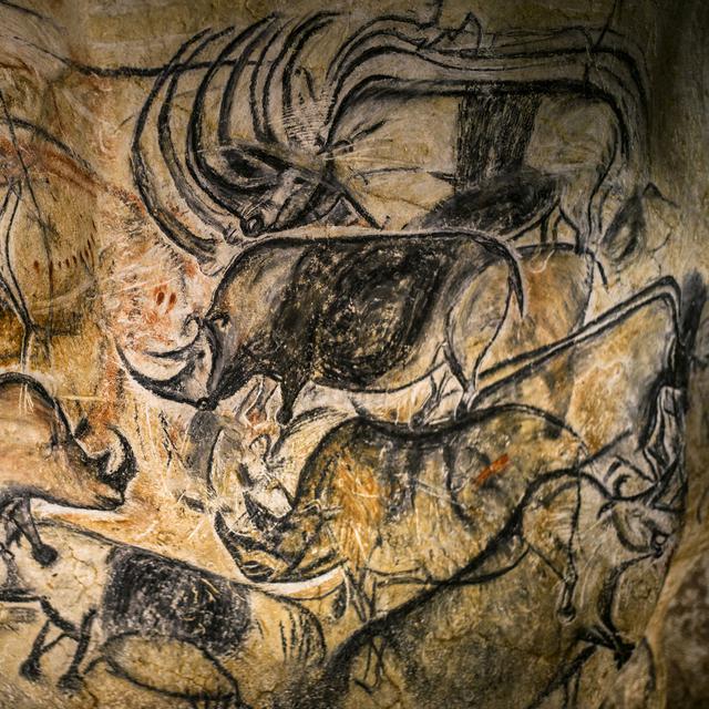 Reproduction des fresques de la grotte Chauvet. [Jeff Pachoud]