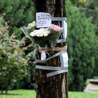 Les deux jeunes avaient été tués dans un parc d'Echirolles, près de Grenoble, en 2012. [AFP - Jean-Pierre Clatot]