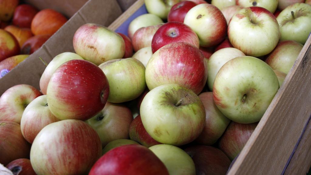 Dans un rapport publié mardi en Suisse, Greenpeace affirme que les pommes sont bourrées de pesticides. [Keystone - Axel Heimken - AP Photo]