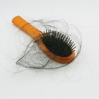 La perte des cheveux est influencée par les saisons.
ninun
Fotolia [ninun]