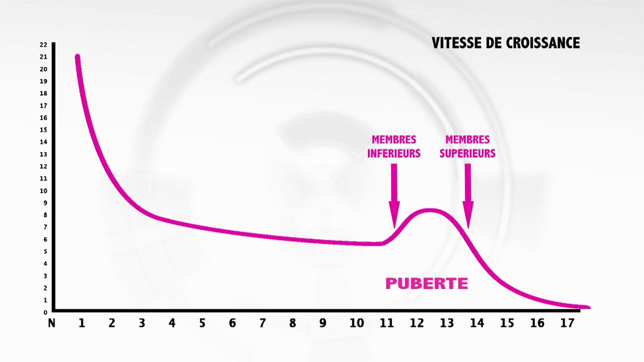 Le pic de croissance intervient à un moment variable selon l'individu, mais il est précédé et suivi des mêmes caractéristiques.