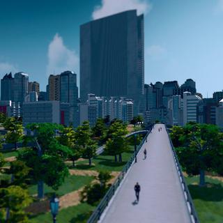Cities Skylines. [Paradox Interactive Colossal Order]