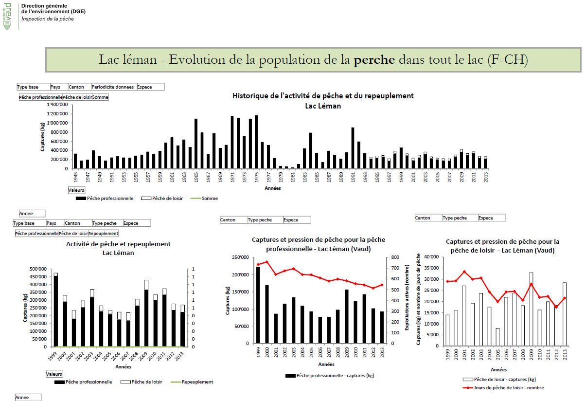 Evolution de la population de la perche dans tout le lac. [La Direction générale de l'environnement / Inspection de la pêche]