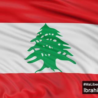 "Au Liban, si vous dites quelque chose qui s'oppose, vous êtes menacé", selon Ibrahim.