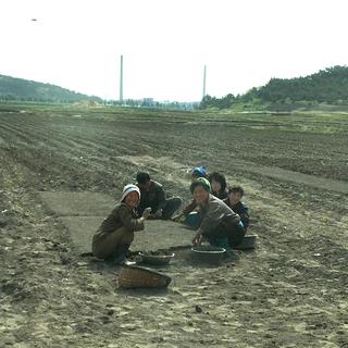 Des paysannes au travail. [Raphaël Grand]