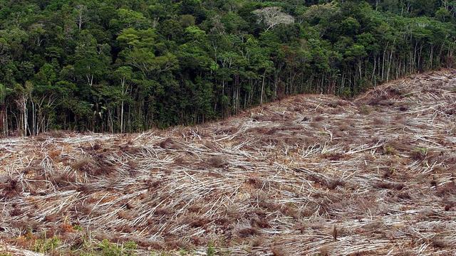 Une vue aérienne de la déforestation au Brésil. [Marcelo Sayao]