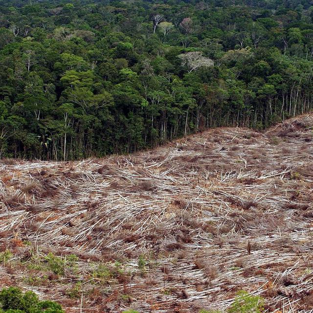 Une vue aérienne de la déforestation au Brésil. [Marcelo Sayao]