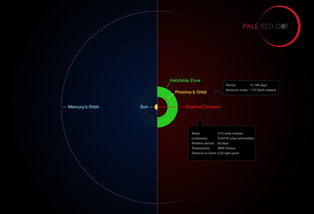 Comparaison de l’orbite de la planète Proxima b et de son étoile avec la même région du système solaire. La zone où pourrait subsister de l'eau liquide est représentée en vert. [AFP - EUROPEAN SOUTHERN OBSERVATORY]