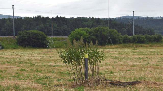 Le projet de forage géothermique près de Delémont fait débat depuis plusieurs années. [RTS - Gaël Klein]