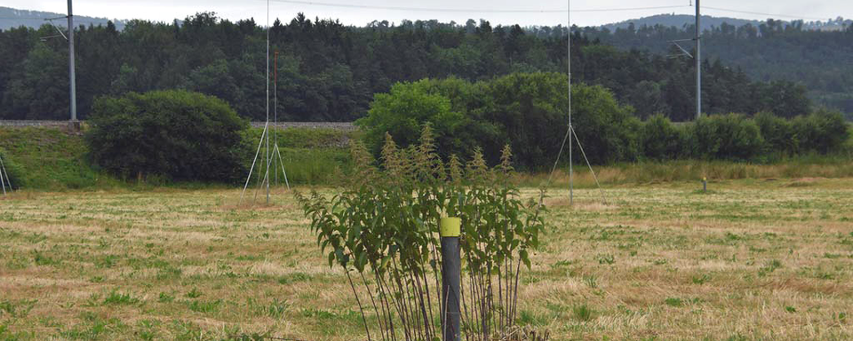 Le projet de forage géothermique près de Delémont fait débat depuis plusieurs années. [RTS - Gaël Klein]