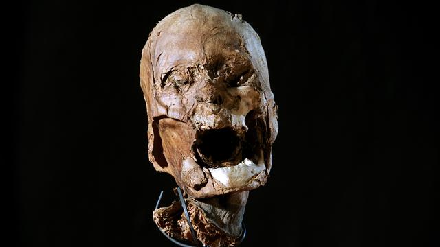 La prétendue tête momifiée d'Henri IV. [Bellet/AFP - Stéphane Gabet]