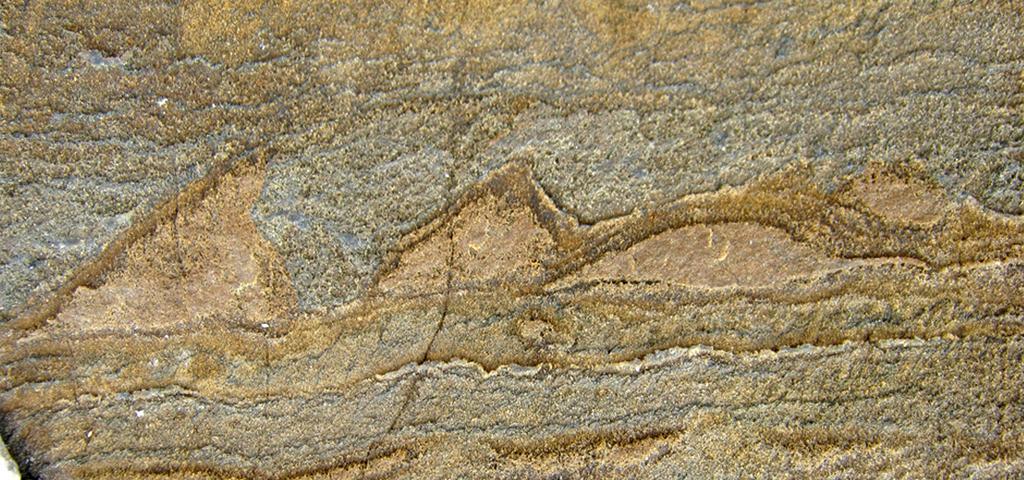 De la roche imprimée d'amas bactériens dénommés stromatolithes. [Keystone - Allen Nutman]