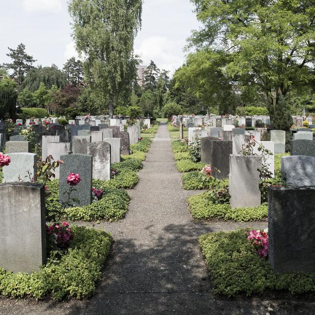 Le cimetière de Sihfeld à Zurich. [key - Christian Beutler]