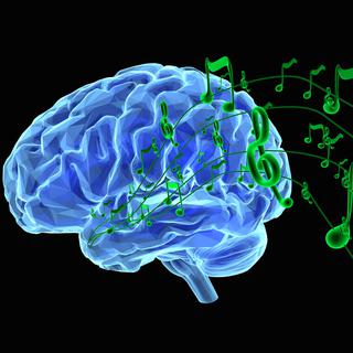 La musique agit dans des zones très particulières de notre cerveau. 
goa novi
Fotolia [Fotolia - goa novi]