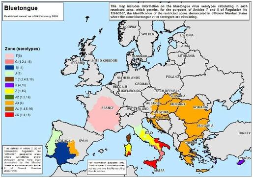 La situation de l'épidémie de langue bleue en Europe en février 2016. [OSAV]