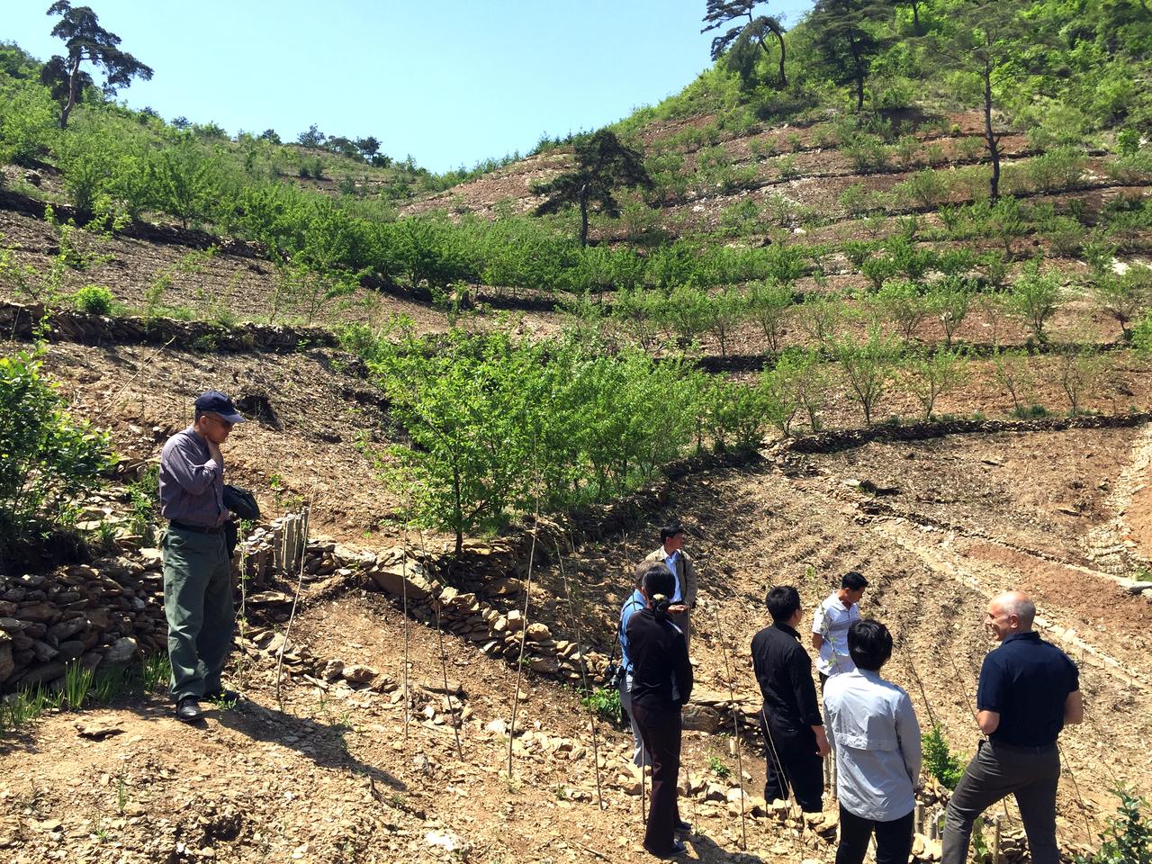 La Suisse mène des projets de reforestation et d'accès à l'eau potable. [Raphaël Grand]