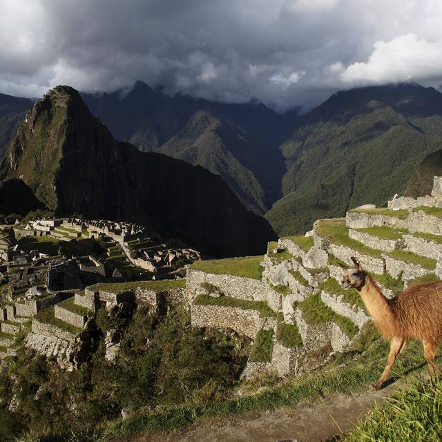La cité inca de Machu Picchu au Pérou est menacée, alerte le WWF. [Reuters - Enrique Castro-Mendivil]