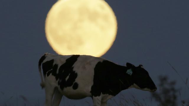 Pour voir la "Super moon" en Suisse, il faudra certainement être en Valais ou en Ajoie. [KEYSTONE - AP Photo/Orlin Wagner]