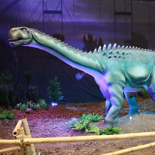 Reproduction d'un ampelosauros, exposé à Palexpo à Genève. [dino-expo.ch]