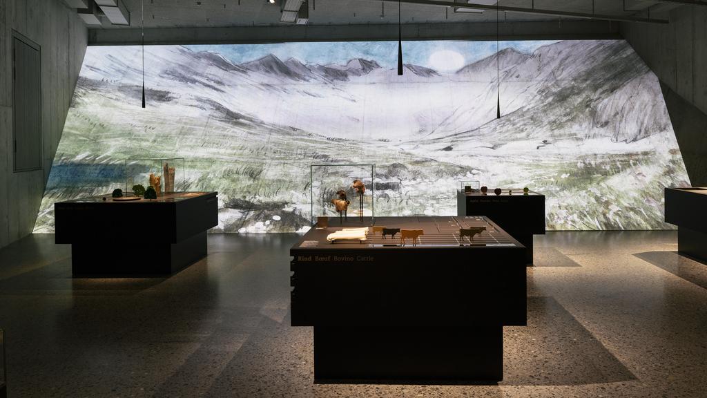 La nouvelle exposition permanente du Musée national suisse est dédiée à l'archéologie suisse. [Keystone - Christian Beutler]