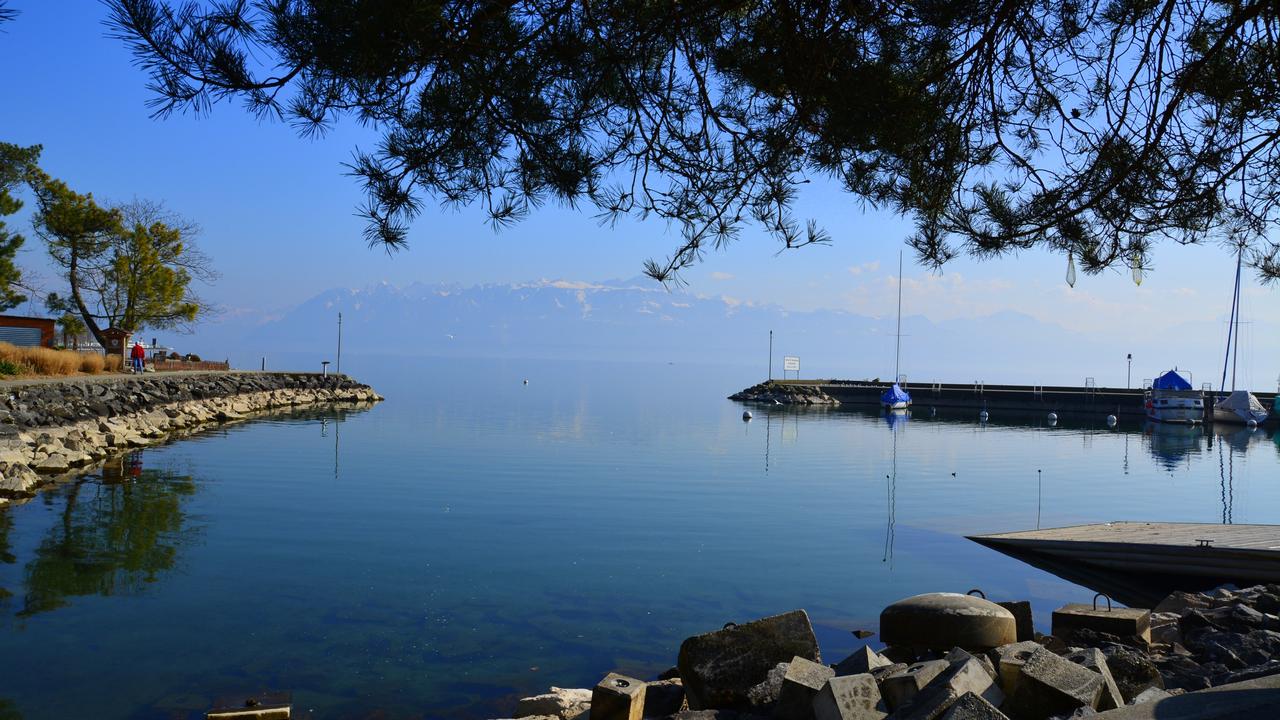 Bords du lac à Vidy (image d'illustration). [Ml Giroud]