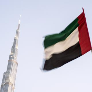Drapeau des Emirats Arabes Unis. [AFP - Evgeny Biyatov / RIA Novosti]