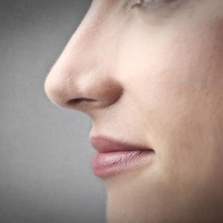Le nez peut être entrainé à reconnaître les odeurs. 
Olly
Fotolia [Fotolia - Olly]