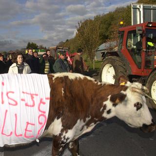 La crise de la vache folle a marqué les esprits en Europe. [AFP - Mehdi Fedouach]