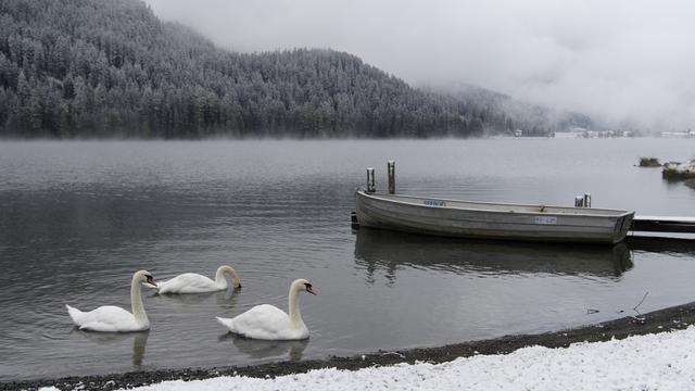 La neige est tombée jusqu'à 700m, presque partout en Suisse, dans la nuit de samedi à dimanche [KEYSTONE - GIAN EHRENZELLER]