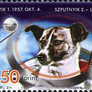 La chienne Laïka, immortalisée sur un timbre hongrois. [DR]