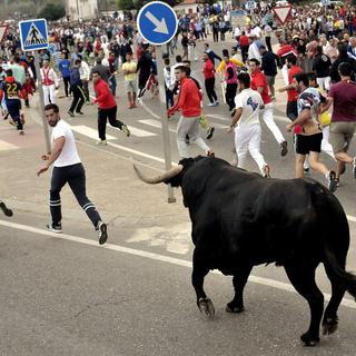 Pour la première fois, le taureau n'a pas été mis à mort au terme de la Toro de la Vega. [Keystone - NQCHO GALLEGO - EPA]