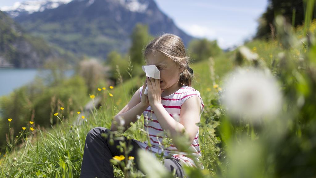 Environ 20% des gens souffrent d'une allergie aux pollens. [Gaetan Bally]