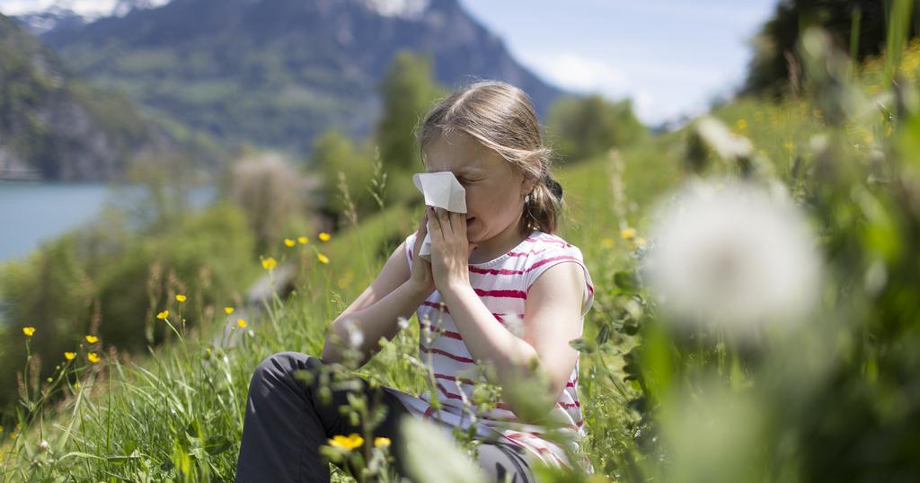 Respiratory allergies: new molecule responsible for inflammation discovered – rts.ch