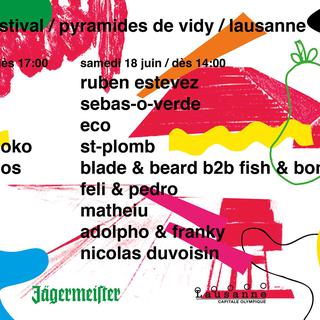 L'affiche du festival Derdiedas, à Lausanne. [Facebook/Derdiedas]