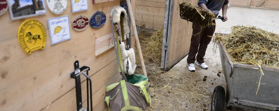 De nombreux projets proposent aux réfugiés de travailler dans le milieu agricole. [Keystone - Laurent Gilliéron]