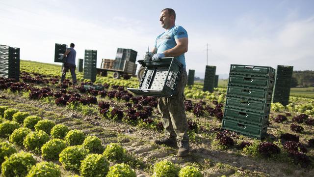 Agriculture biologique. [Keystone - Gaëtan Bally]